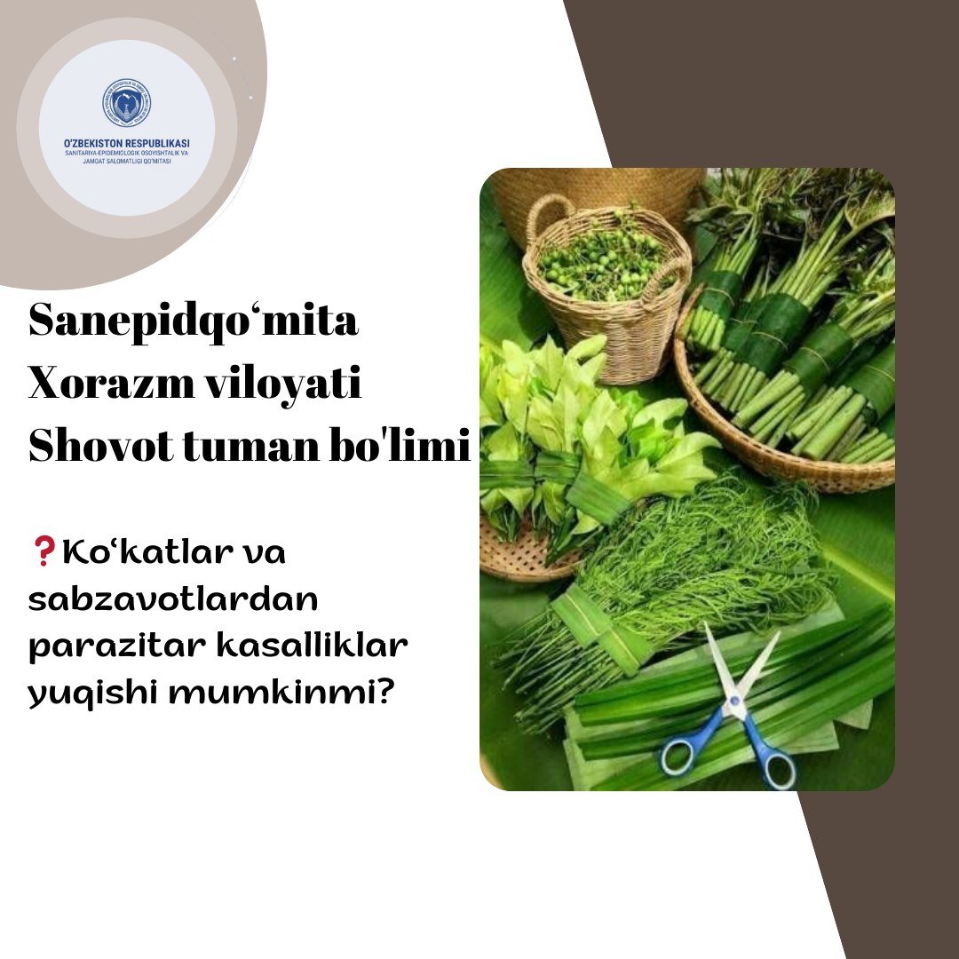 Ko‘katlar va sabzavotlardan parazitar kasalliklar yuqishi mumkinmi?