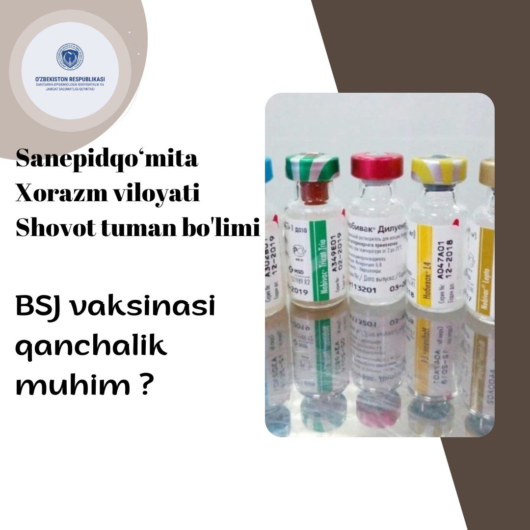 BSJ vaksinasi sil kasalligidan himoyalanish uchun juda muhim.