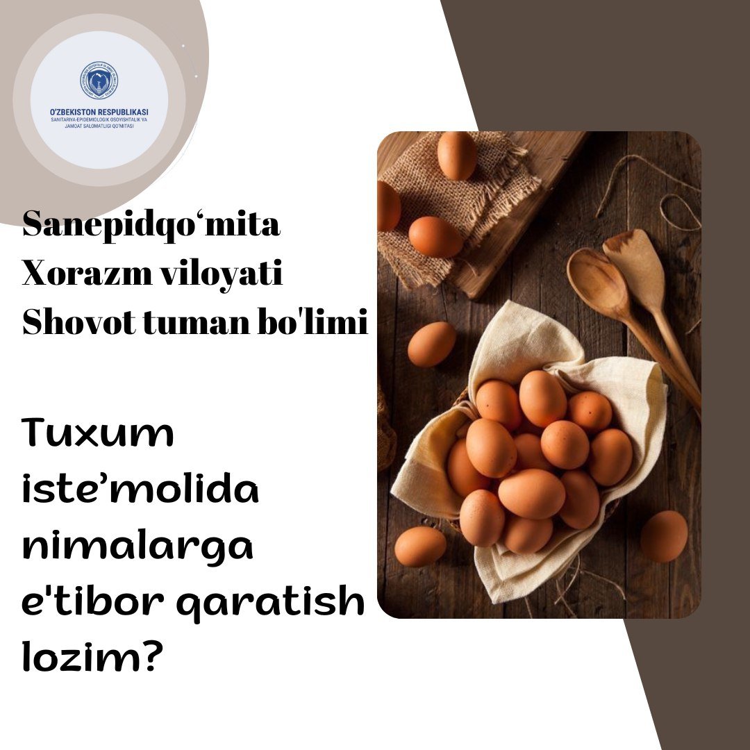 Tuxum iste’molida nimalarga e'tibor qaratish lozim?
