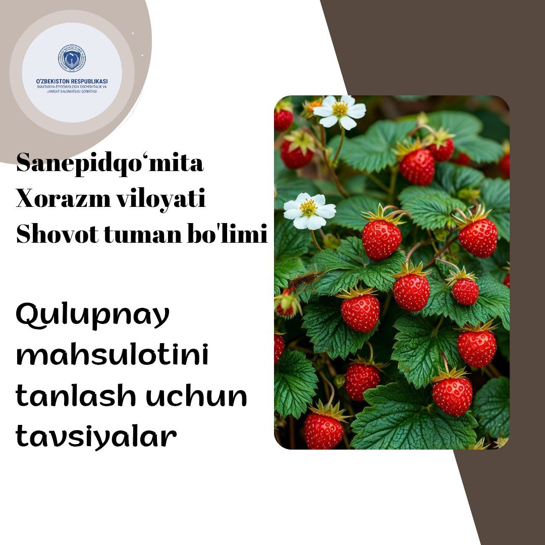 Qulupnay (klubnika) mahsulotini tanlashda quyidagi tavsiyalarni inobatga olish foydali bo'ladi: