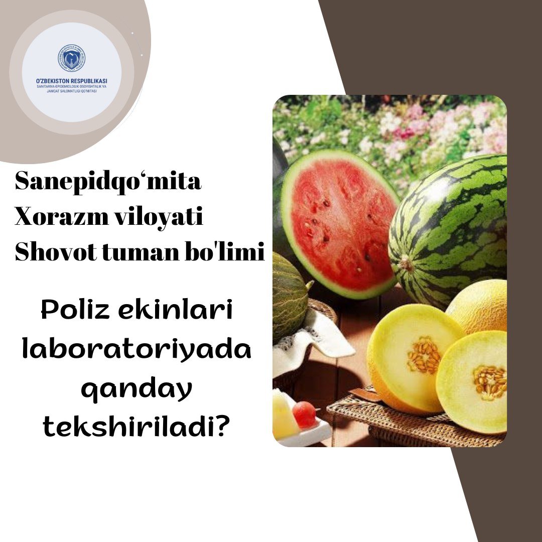 Poliz ekinlari (masalan, tarvuz, qovun, bodring, qovoq va boshqalar) laboratoriyada bir nechta yo‘nalishda tekshiriladi
