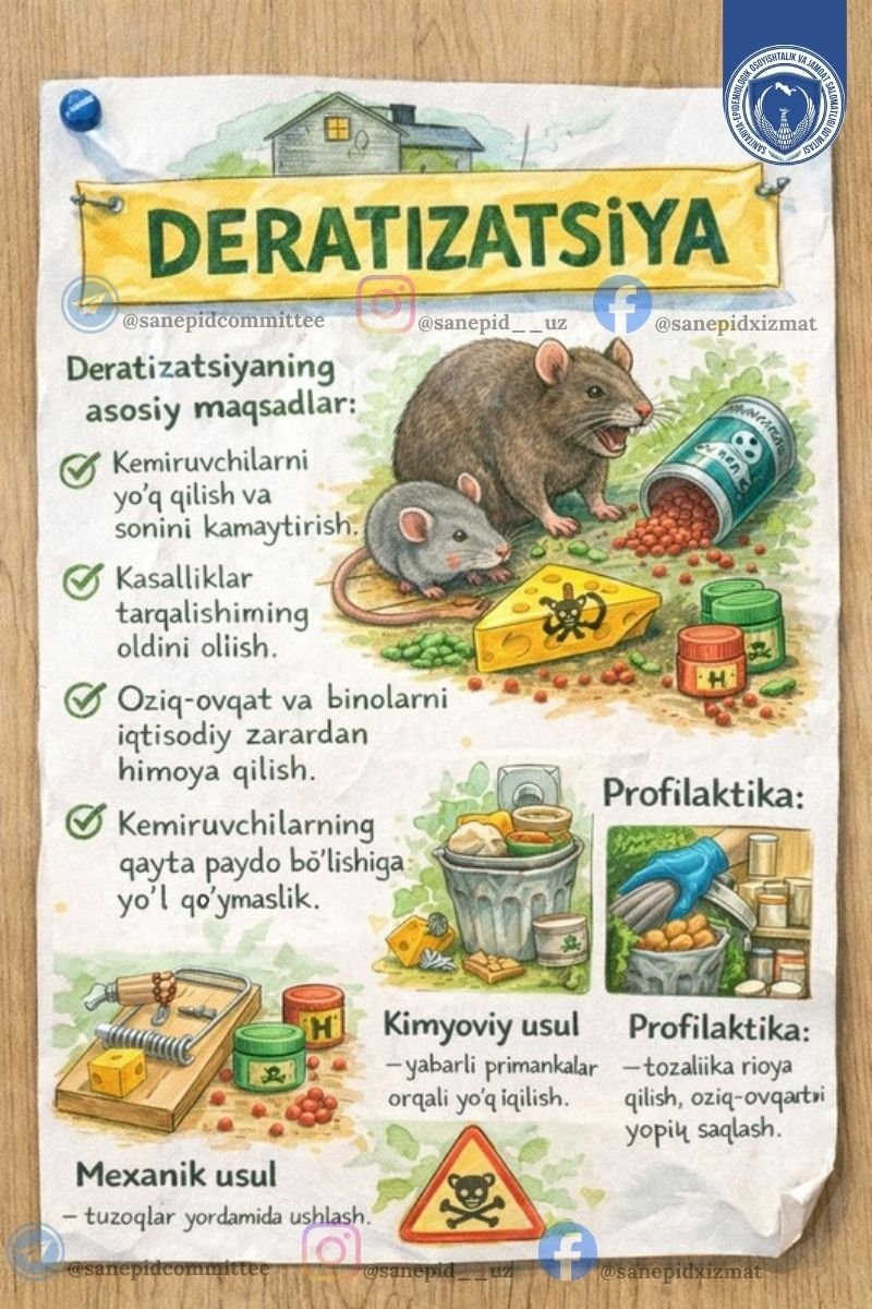 Deratizatsiya – yuqumli kasalliklardan himoyalanishda muhim