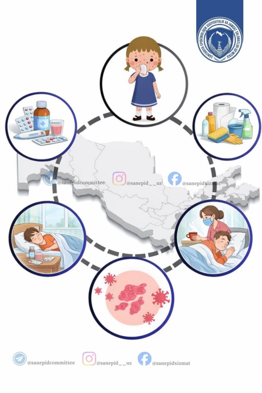 MUTAXASSISDAN TAVSIYALAR