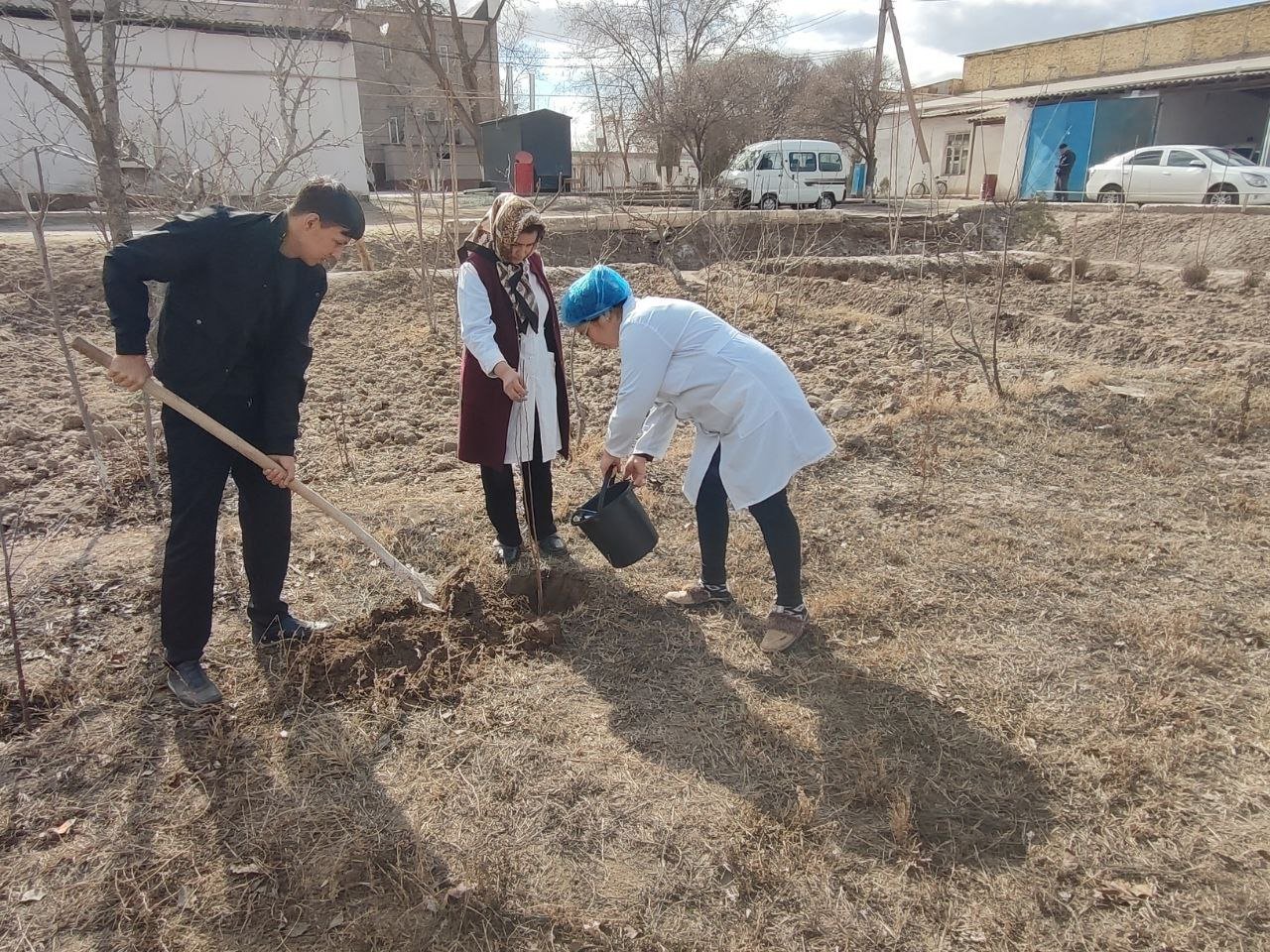 “Yashil makon” umummilliy loyihasi doirasida 2026 yil bahor mavsumida manzarali, mevali daraxt hamda buta ko‘chatlarini ekish ishlari olib borilmoqda.