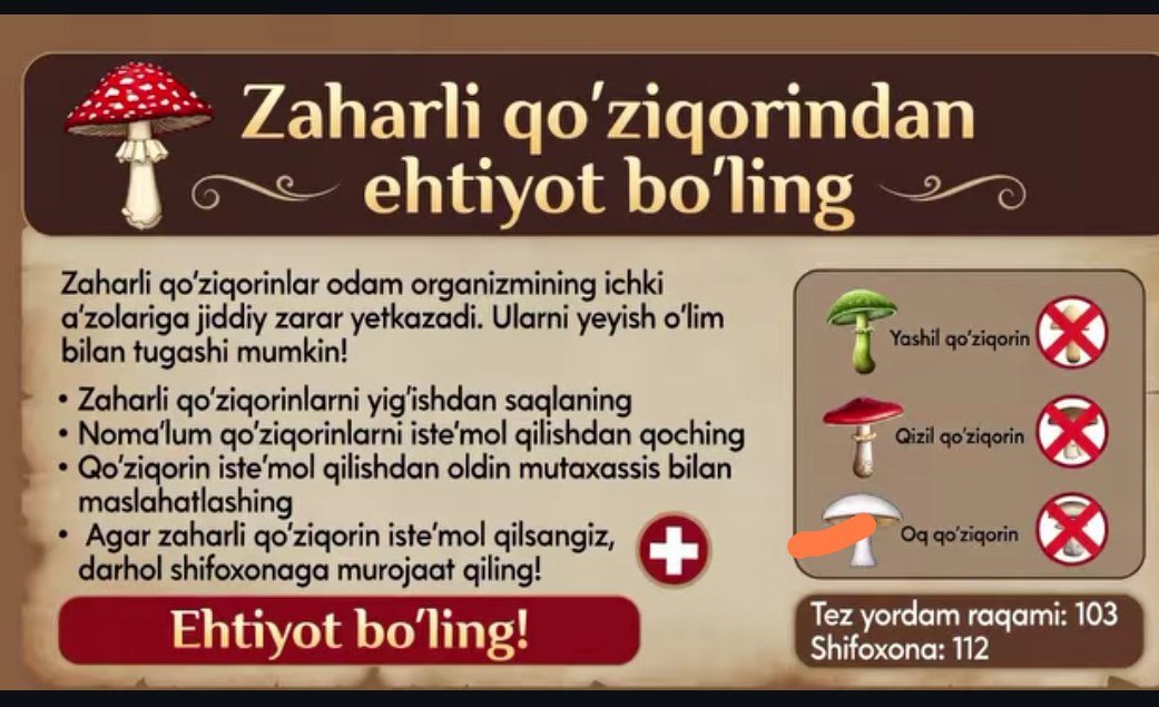 Zaharli qoʻziqorinlardan ehtiyot boʻling!
